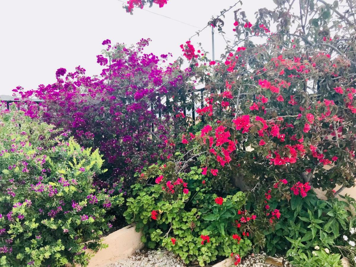 Casa Fletch Bed and Breakfast El Salado Exterior foto